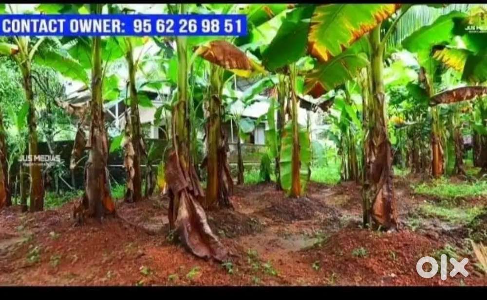 Prime 13.25cent land for sale