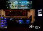 Aqua tales aquarium shop  Male staff needed