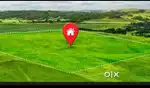 10000 Sqft Land for Sale in Pipla NA TP TD Sanctioned