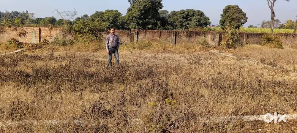 Plot for sale ( Shankerpur Hakumatpur Selakui, Dehradun)