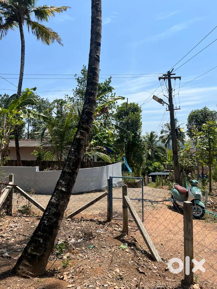 12 cent  plot for sale in papermill, kallumala