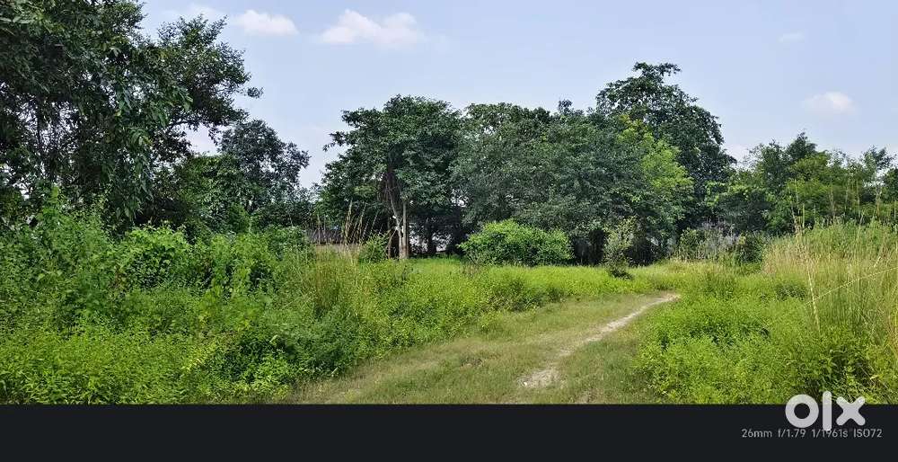 20 DCML Plot for Sale at Majhipali 200 MTRS from N.H Govt Hospital
