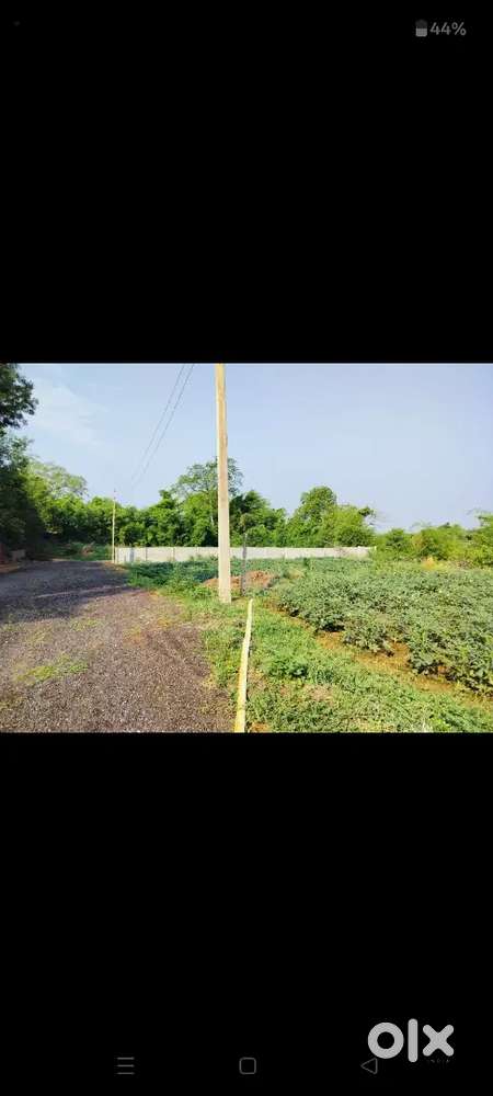 Plot for sale