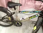 Avon cycle