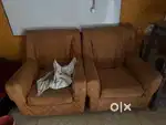 Old sofa set wooden