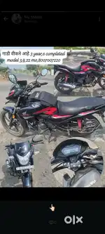 Gadi vekne ahe