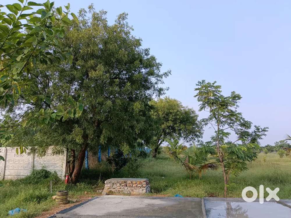 Farm House plots near DRDO RESEARCH FACILITATION CENTRE Tirupati