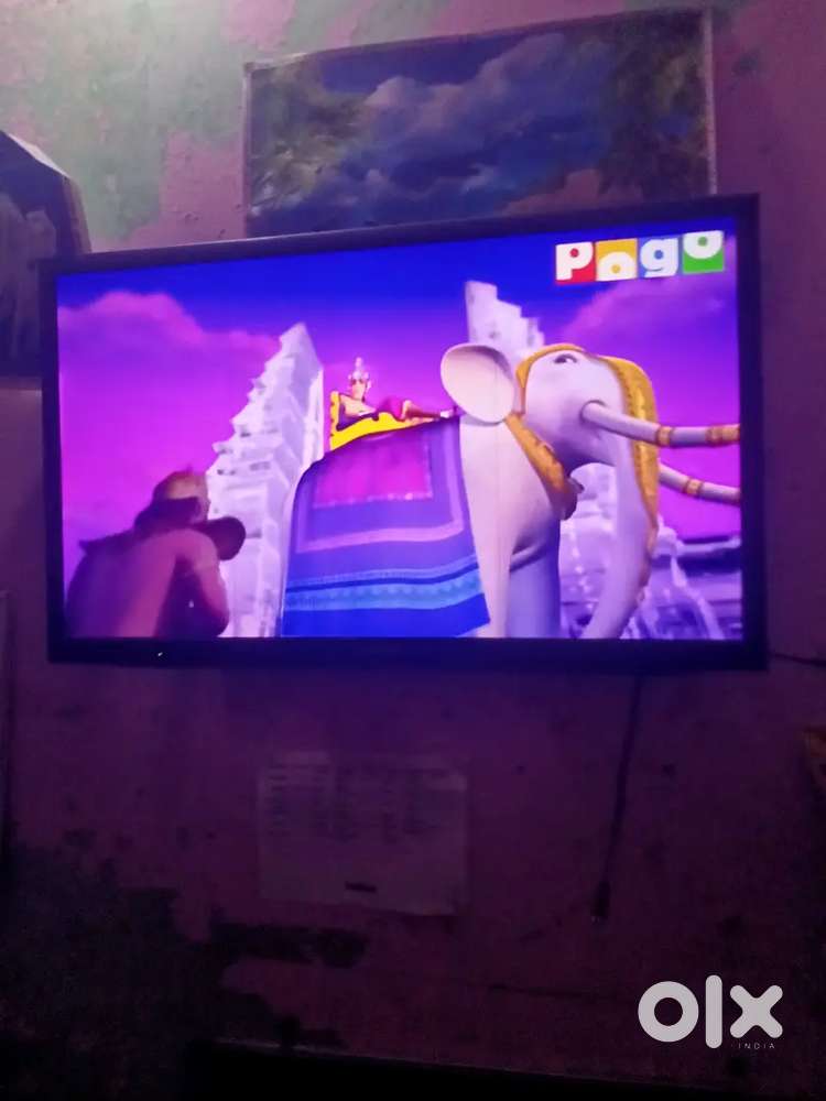 Beston TV best quality year old 24inch