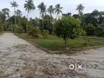 HOUSE PLOTS @KARUKUTTY PULIYANAM