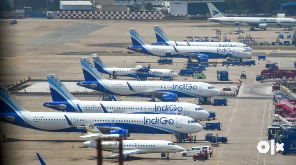 INDIGO JOBS NEW HIRING APPLY NOW. Indigo Airlines Job Opened @ CCE ,