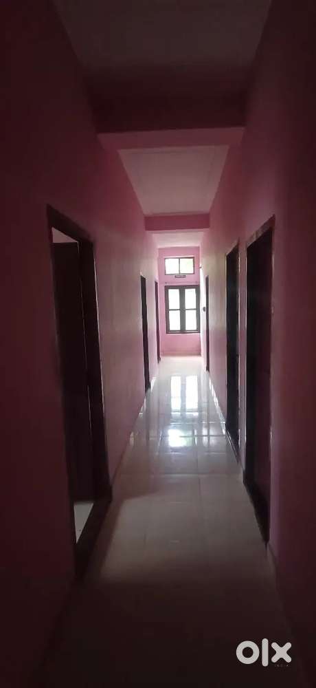 LADIES PG wIth homely food and Wifi