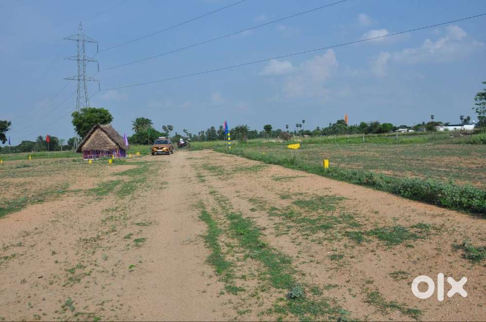 Land for Sale in Arakkonam (Kumpinipet) – Clear Title & Good Invest