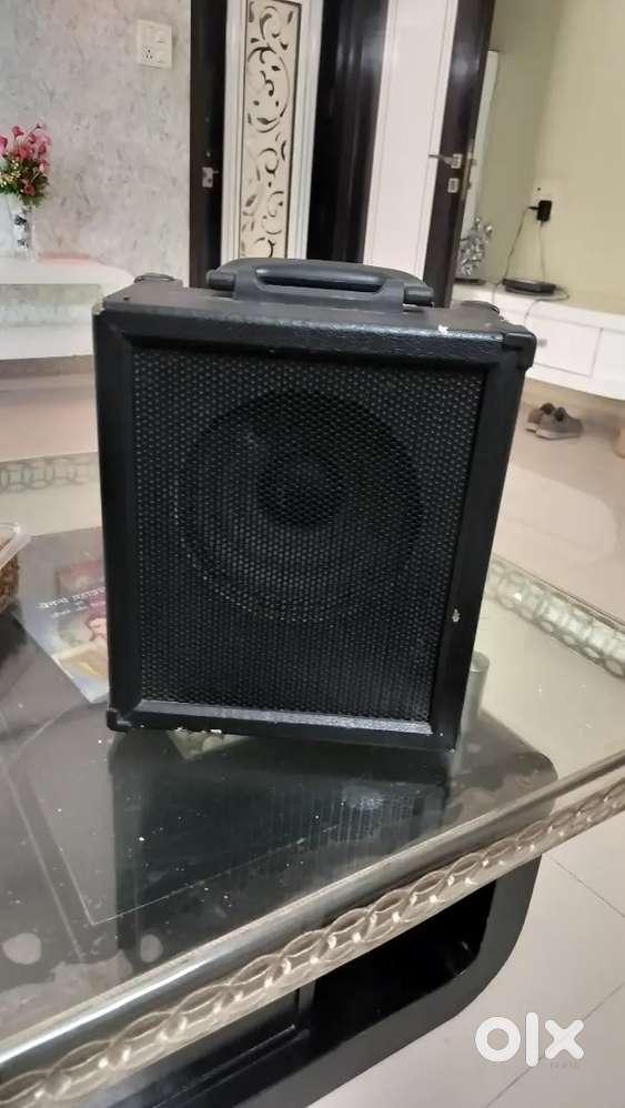 CUBE 30 SPEAKER
