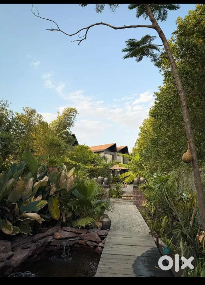 Female waiters  , Night guard , indian chef, male waiter