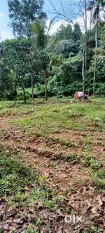 Plot for urgent sale in peroorkada 5cents