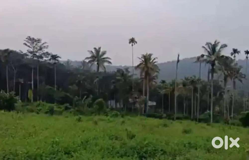 പൂതാടി പഞ്ചായത്തിൽ 5 ഏക്കർ സ്ഥലം വിൽപ്പനയ്ക്ക്