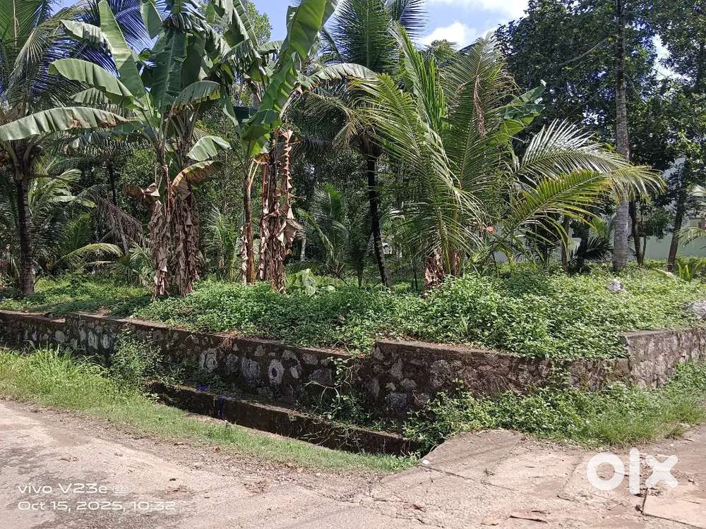 40 സെൻ്റ് കരഭൂമി മൊത്തമായോ പകുതിയായോ വില്പനയ്ക്ക് സെൻ്റിന് 4.50 ലക്ഷം