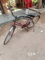 Ladies cycle