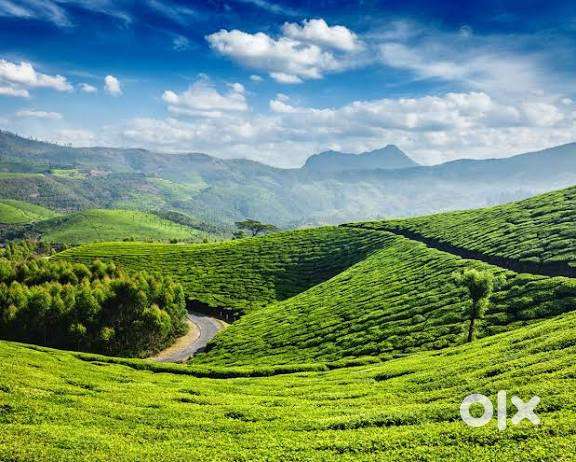 Assistent travel exicutive Girl/boy