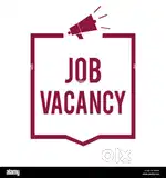 Freshers and Experience wanted