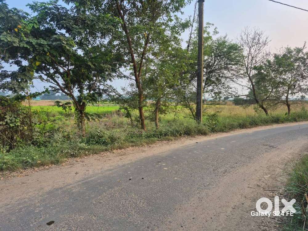 5 katha land for sell