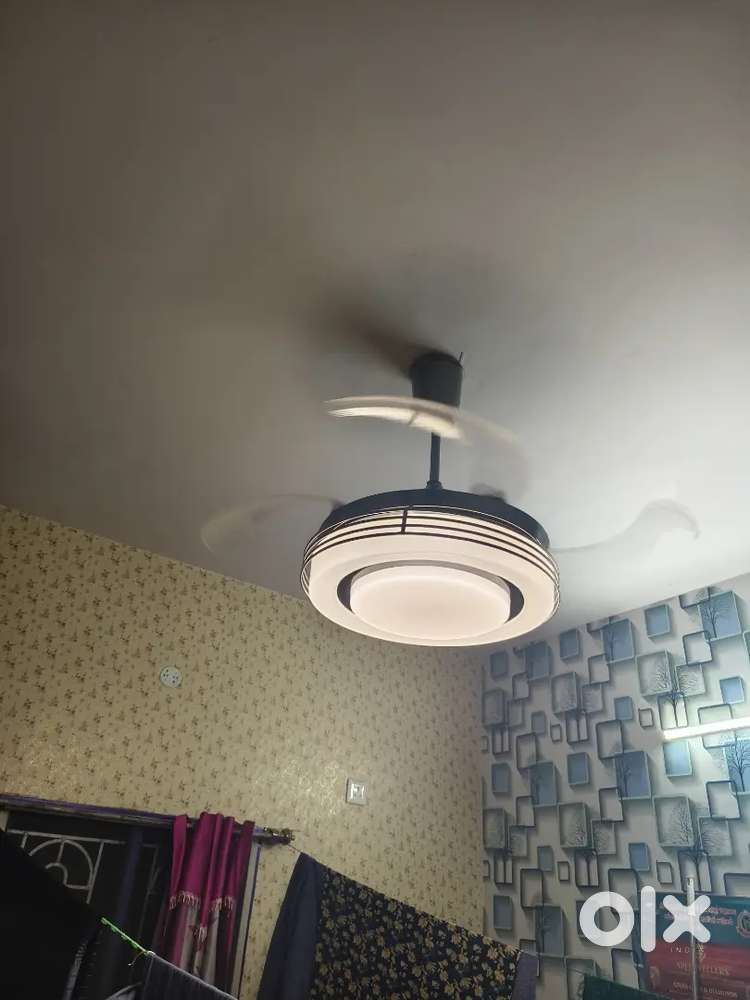 Modern celing fan is sale