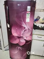 Inverter Fridge 320. Ltr LG company