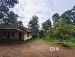 50 cents of land in kanjiramattom