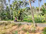 10 Cent property for sale (4km from Vizhinjam). 5lac per cent.