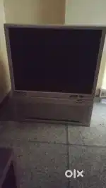 Double door fridge ,TV , Projector , AC , oven,cooler,woodendressing