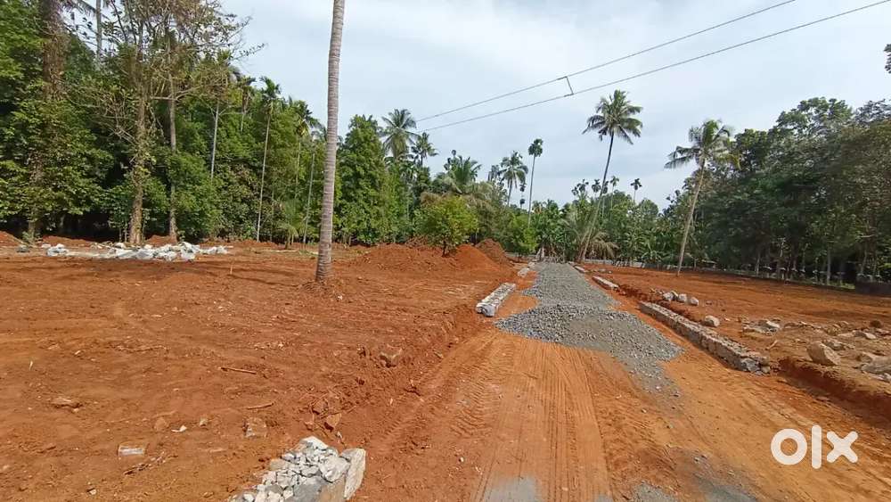 5,6,8,10 cent angamaly Pulyanam road NH 3 km bus stop 200 meate 5 mea