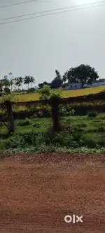 కోవూరు నేషనల్ హైవే కి రెండు ఎకరాల పొలం ఎకరా రెండు కోట్ల యాభై లక్షలు