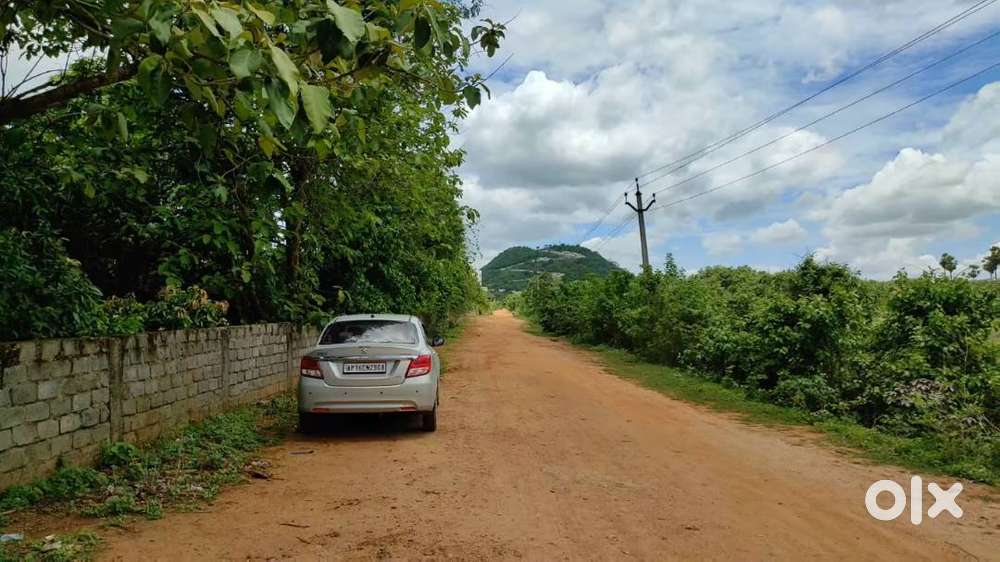2.5 Acres  Urban Agriculture Land–Within Nuzvid Town & APCRDA Limits