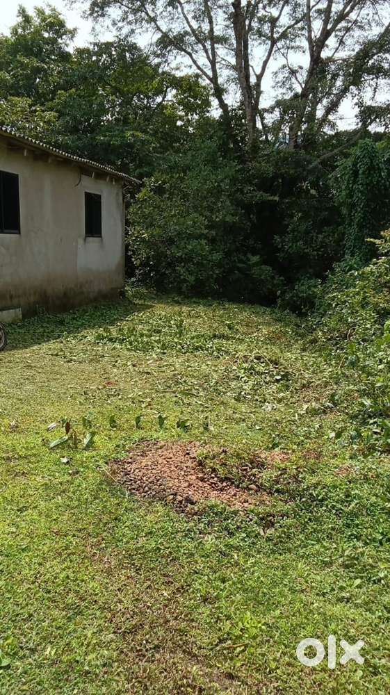 Godwan for keeping goods for rent