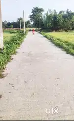 Pitching 16 feet ,Road .. with electricity  connection ,main road 30ft