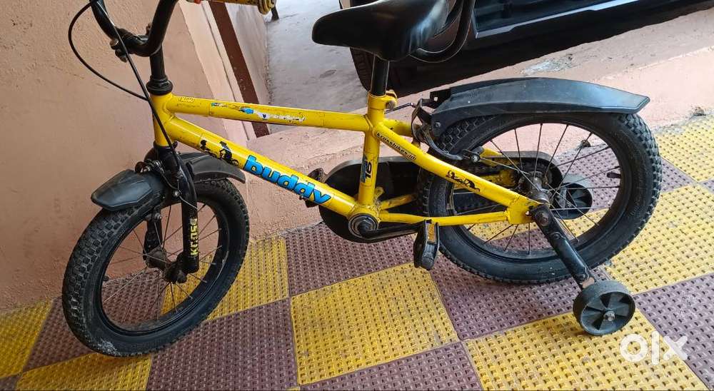 Buddy cycle for 3-4 year baby