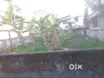 5 cent plot for sale