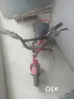 Cycle for sale