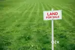 7 Cent Road Frontage Land For Sale in Vennala