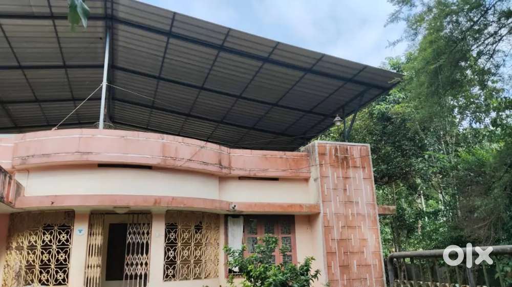 Madathil house Manjinikara ommallor po Pathanamthitta