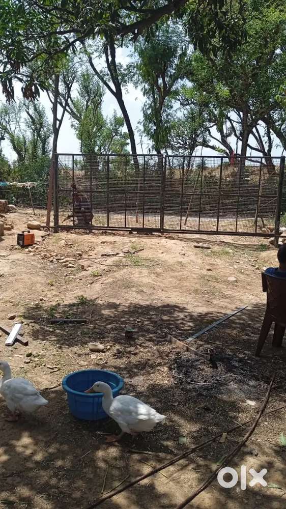 शादीशुदा जोड़े की काम के लिए ज़रूरत है