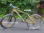 Custom build stunt cycle