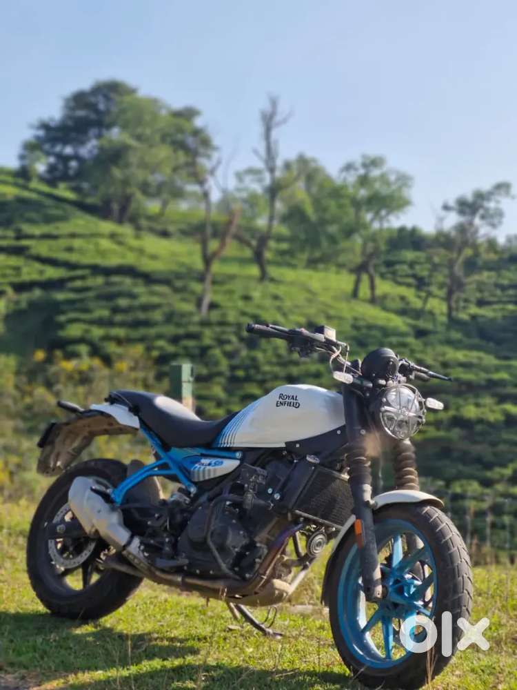 Guerrilla 450 5 months old