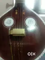 Veena instrument