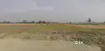 Commercial Plot on 80 Feet wide Road Near Kushmi Bazar Gorakhpur