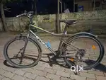 Serviced Riverside 120 bicycle for sale