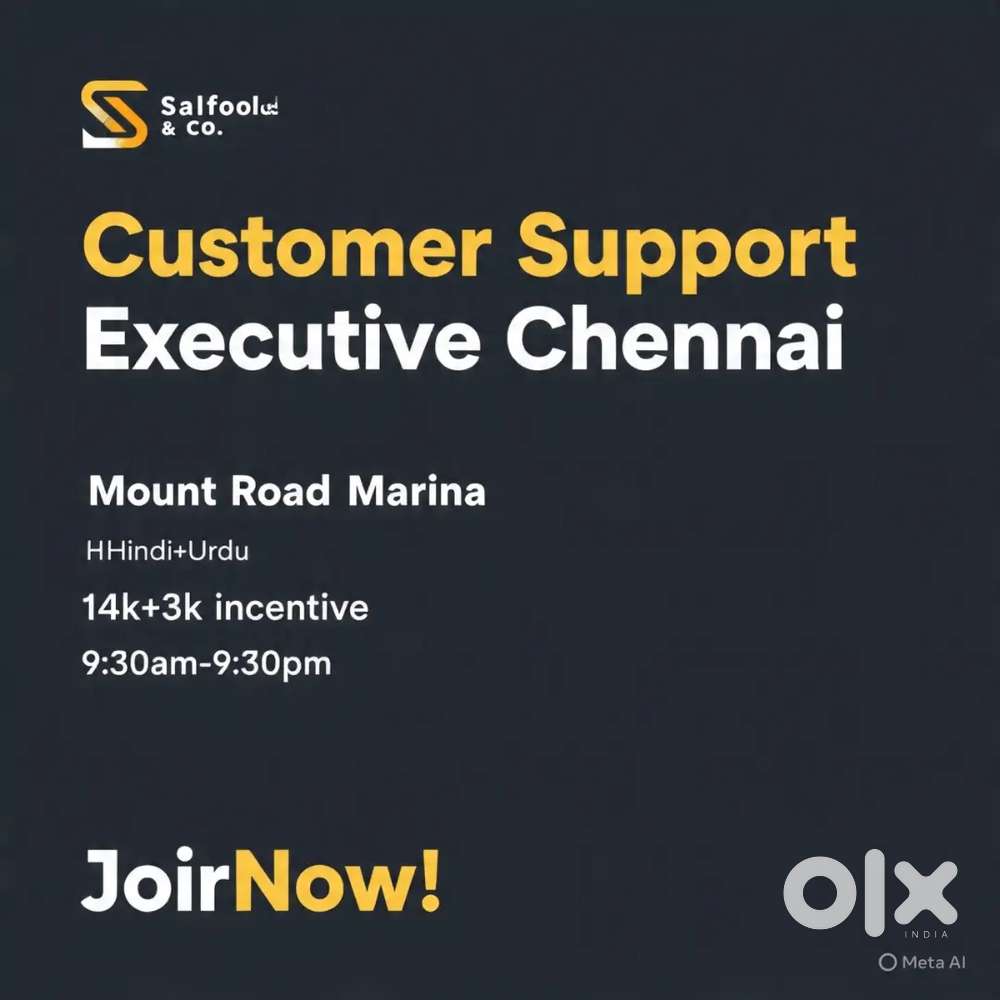 Customer support executive
