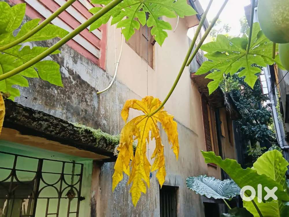 Old two stored house , 4 bedrooms 2 toilets,total land area 945 sft