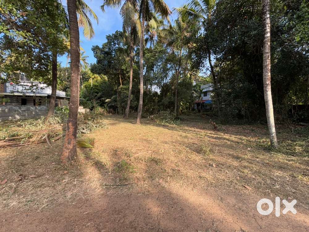 10 cent plot for sale in kanjani aramkallu