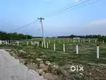NATARAJAN VILANKURICHI 11CENTS DTP SITE SALE